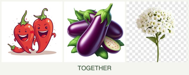 Can you plant peppers, eggplant and alyssum together?