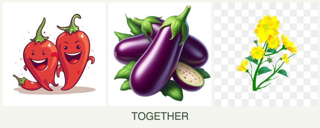 Can you plant peppers, eggplant and calendula together?