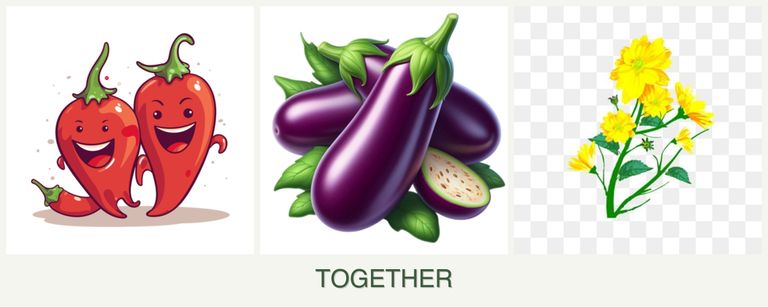 Can you plant peppers, eggplant and calendula together?