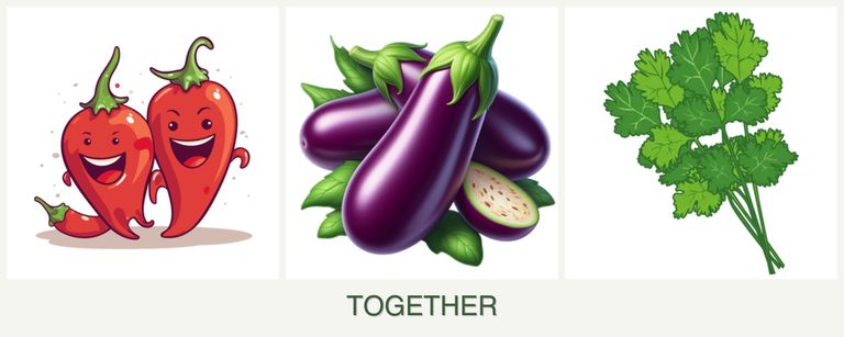 Can you plant peppers, eggplant and cilantro together?