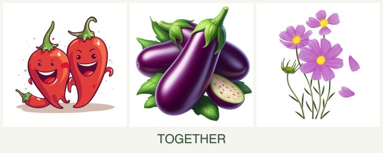 Can you plant peppers, eggplant and cosmos together?