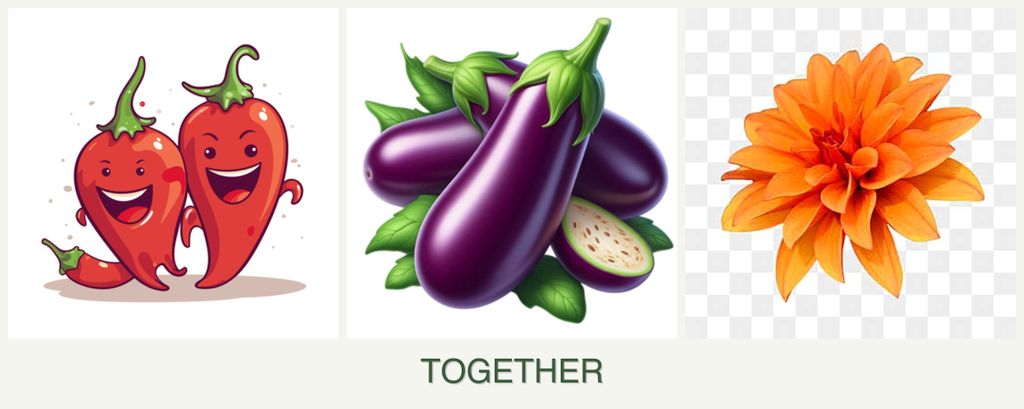 Can you plant peppers, eggplant and dahlias together?