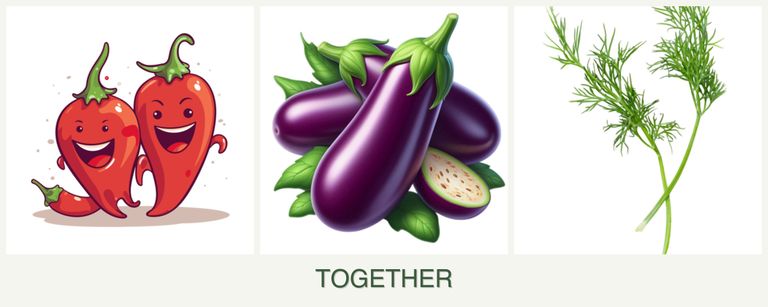 Can you plant peppers, eggplant and dill together?