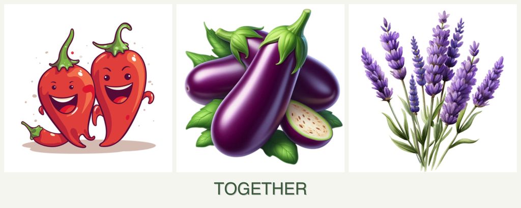 Can you plant peppers, eggplant and lavender together?