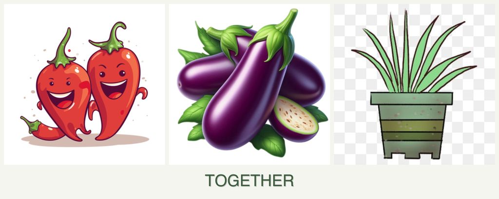 Can you plant peppers, eggplant and lemongrass together?