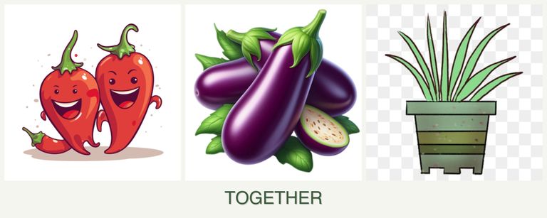 Can you plant peppers, eggplant and lemongrass together?