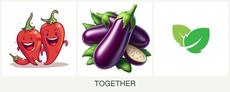 Can you plant peppers, eggplant and mint together?