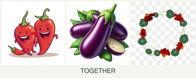 Can you plant peppers, eggplant and nasturtiums together?