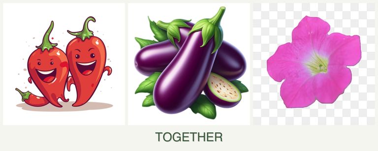 Can you plant peppers, eggplant and petunias together?