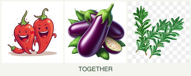Can you plant peppers, eggplant and rosemary together?