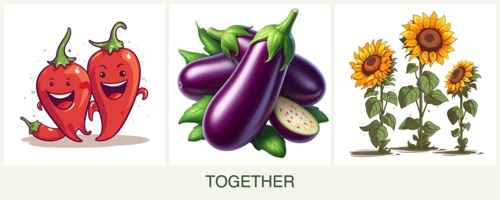 Can you plant peppers, eggplant and sunflowers together?