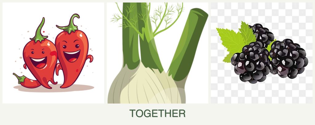 Can you plant peppers, fennel and blackberries together?