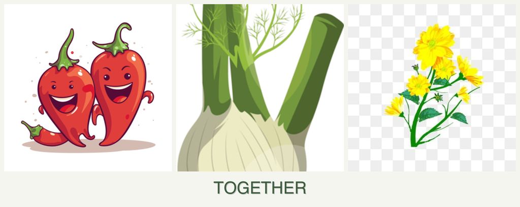 Can you plant peppers, fennel and calendula together?