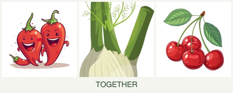 Can you plant peppers, fennel and cherries together?