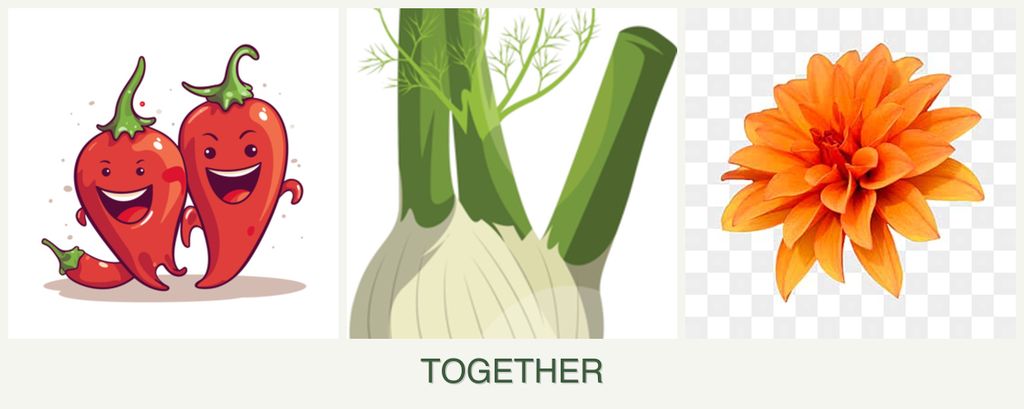 Can you plant peppers, fennel and dahlias together?