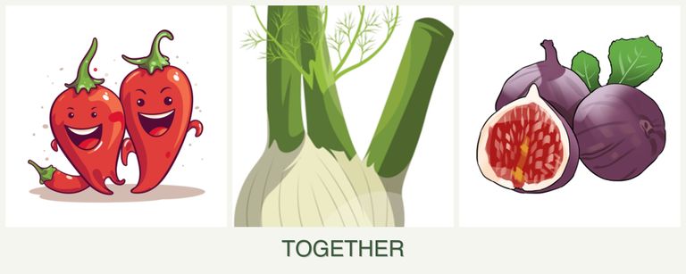 Can you plant peppers, fennel and figs together?