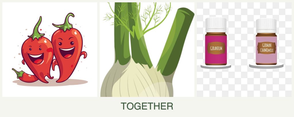 Can you plant peppers, fennel and geraniums together?