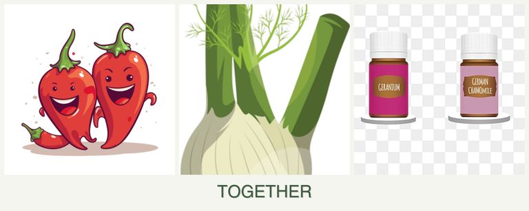 Can you plant peppers, fennel and geraniums together?