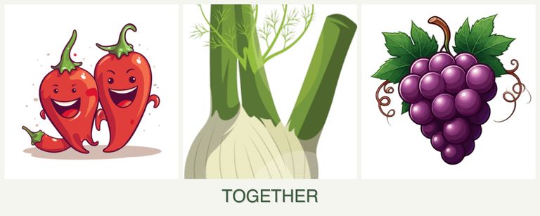Can you plant peppers, fennel and grapes together?
