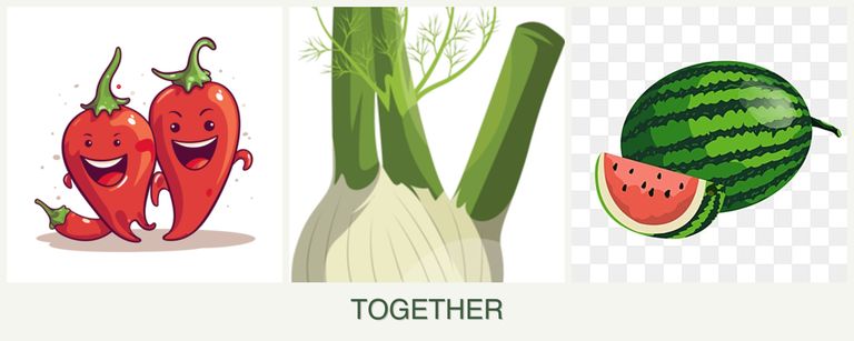 Can you plant peppers, fennel and melons together?