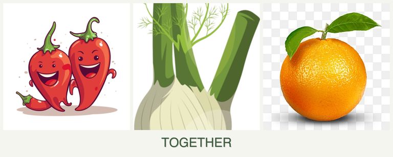 Can you plant peppers, fennel and oranges together?
