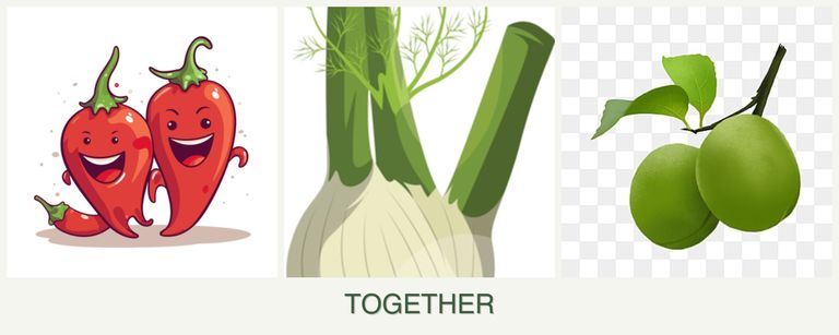 Can you plant peppers, fennel and plums together?