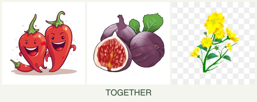 Can you plant peppers, figs and calendula together?