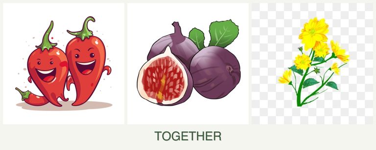 Can you plant peppers, figs and calendula together?