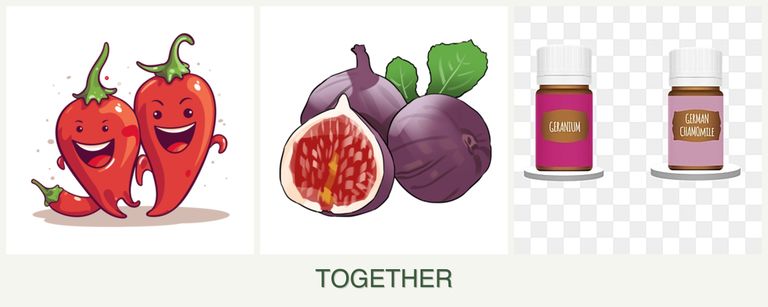 Can you plant peppers, figs and geraniums together?