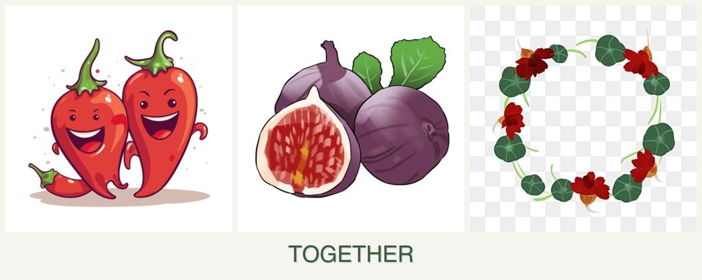 Can you plant peppers, figs and nasturtiums together?