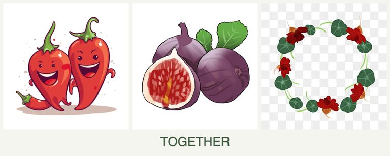 Can you plant peppers, figs and nasturtiums together?