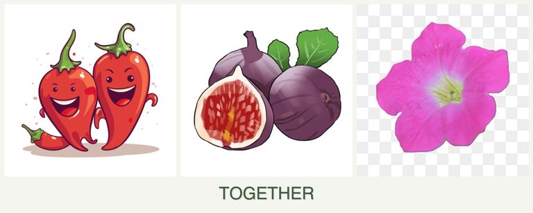 Can you plant peppers, figs and petunias together?