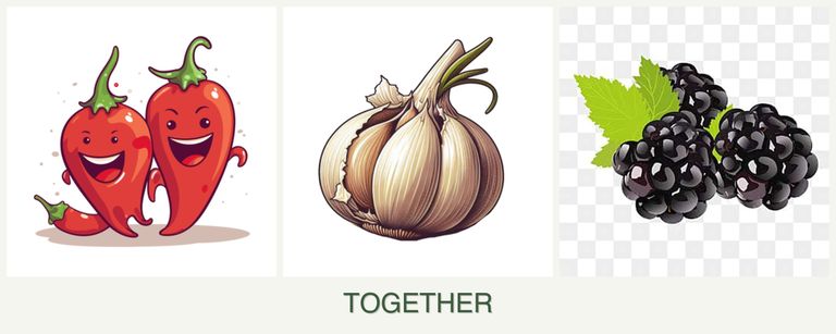 Can you plant peppers, garlic and blackberries together?