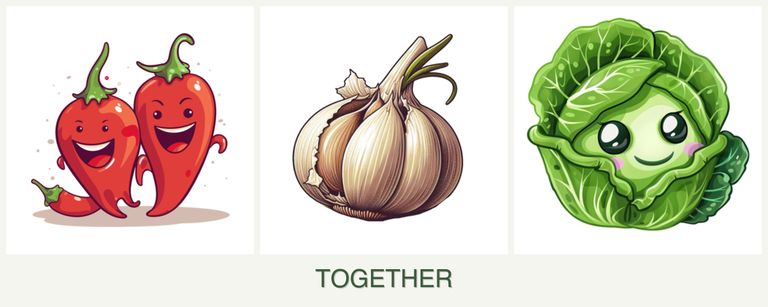 Can you plant peppers, garlic and cabbage together?
