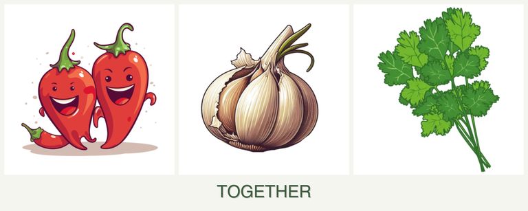 Can you plant peppers, garlic and cilantro together?