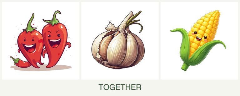Can you plant peppers, garlic and corn together?