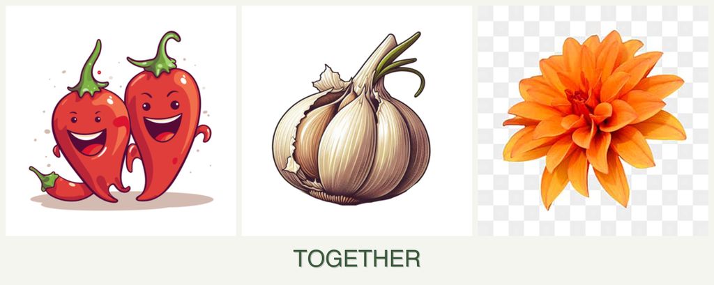 Can you plant peppers, garlic and dahlias together?