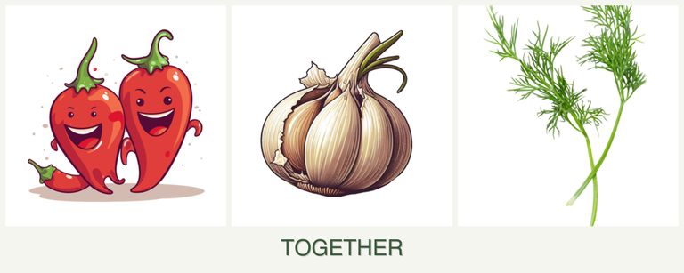 Can you plant peppers, garlic and dill together?