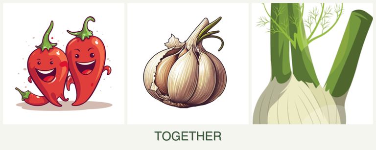 Can you plant peppers, garlic and fennel together?