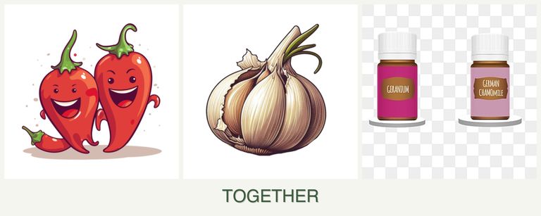Can you plant peppers, garlic and geraniums together?