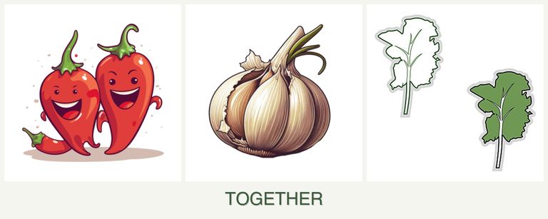 Can you plant peppers, garlic and kale together?