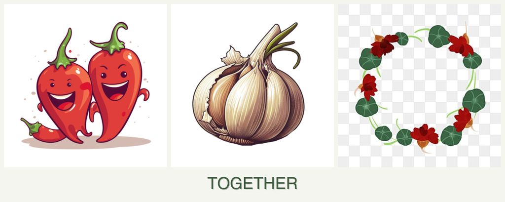 Can you plant peppers, garlic and nasturtiums together?