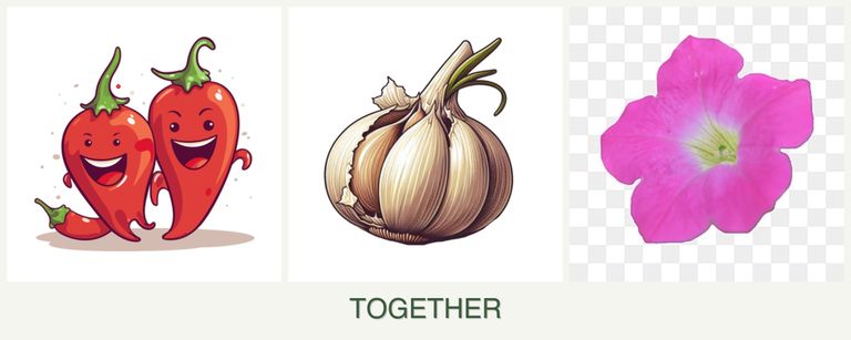 Can you plant peppers, garlic and petunias together?