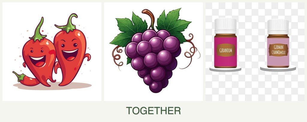 Can you plant peppers, grapes and geraniums together?