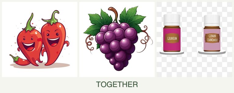 Can you plant peppers, grapes and geraniums together?