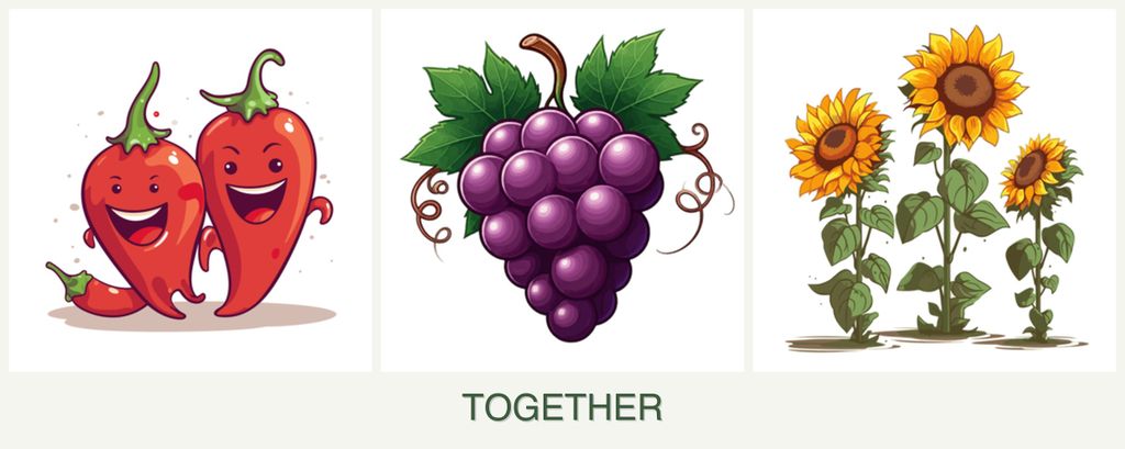 Can you plant peppers, grapes and sunflowers together?