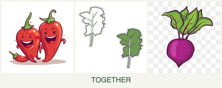 Can you plant peppers, kale and beets together?