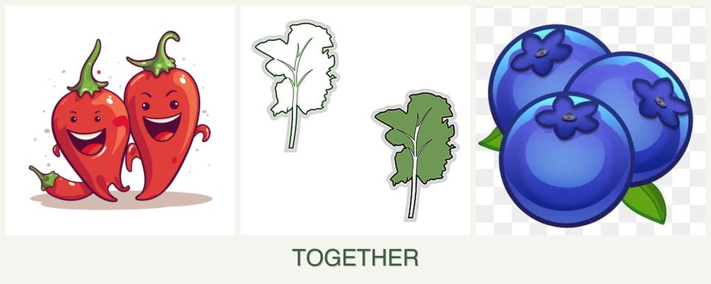 Can you plant peppers, kale and blueberries together?