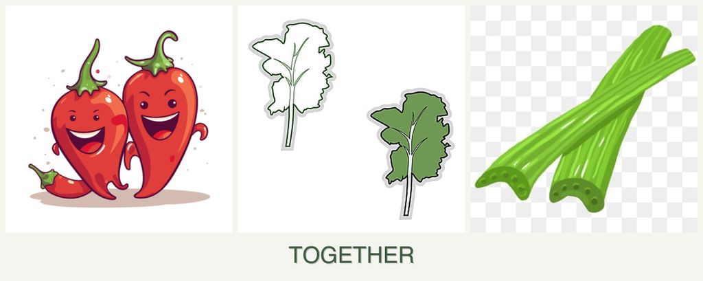 Can you plant peppers, kale and celery together?