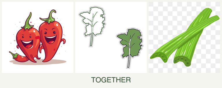 Can you plant peppers, kale and celery together?